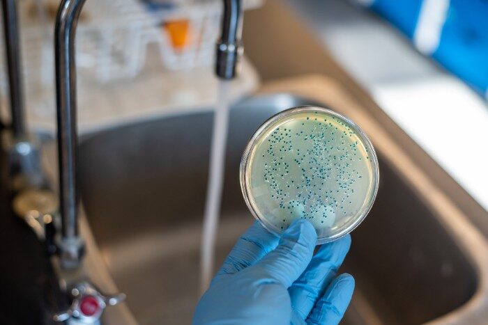 Petri dish held over sink revealing microbial growth from tap water before carbon filtration and RO purification